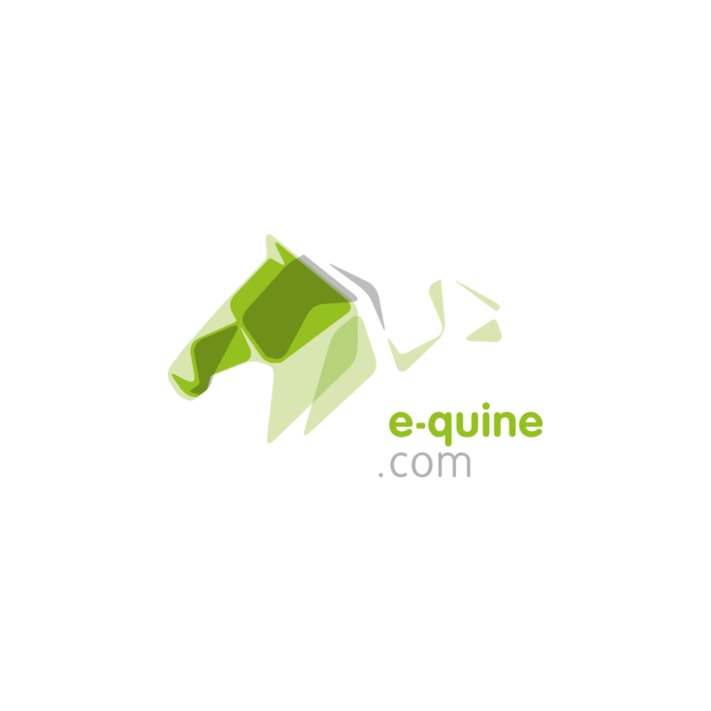 e-quine.com
